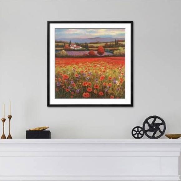 Framed Poppy Pastures I Art Print by T. C. Chiu 24x24